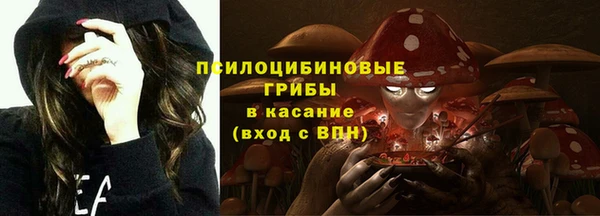 кокаин Белокуриха