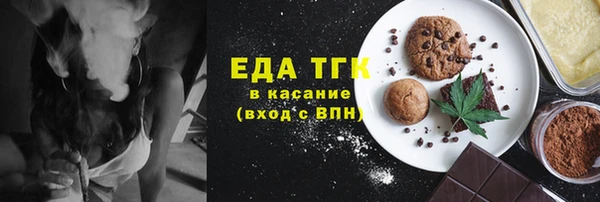 индика Краснотурьинск