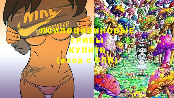 MDMA Premium VHQ Беломорск