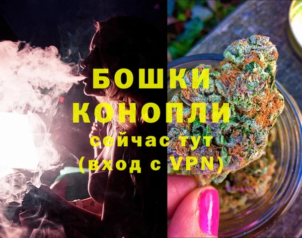кокаин Белокуриха