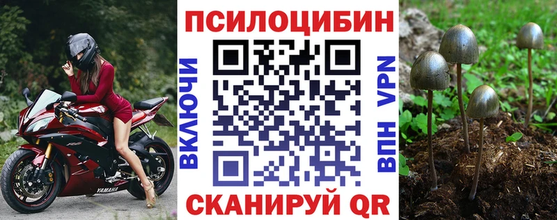 Галлюциногенные грибы GOLDEN TEACHER  где купить наркотик  Верхний Уфалей 