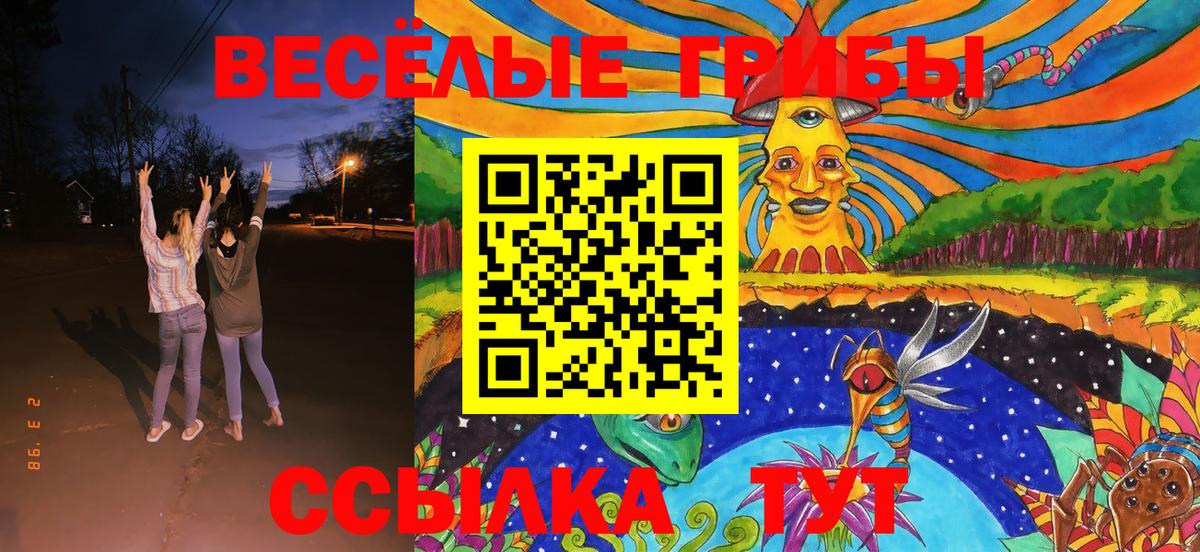 Галлюциногенные грибы Psilocybe Верхний Уфалей