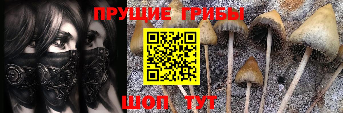 Галлюциногенные грибы MAGIC MUSHROOMS Верхний Уфалей